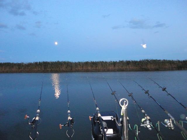 Sulina sept. 2013 - part. II - dsc00702.JPG